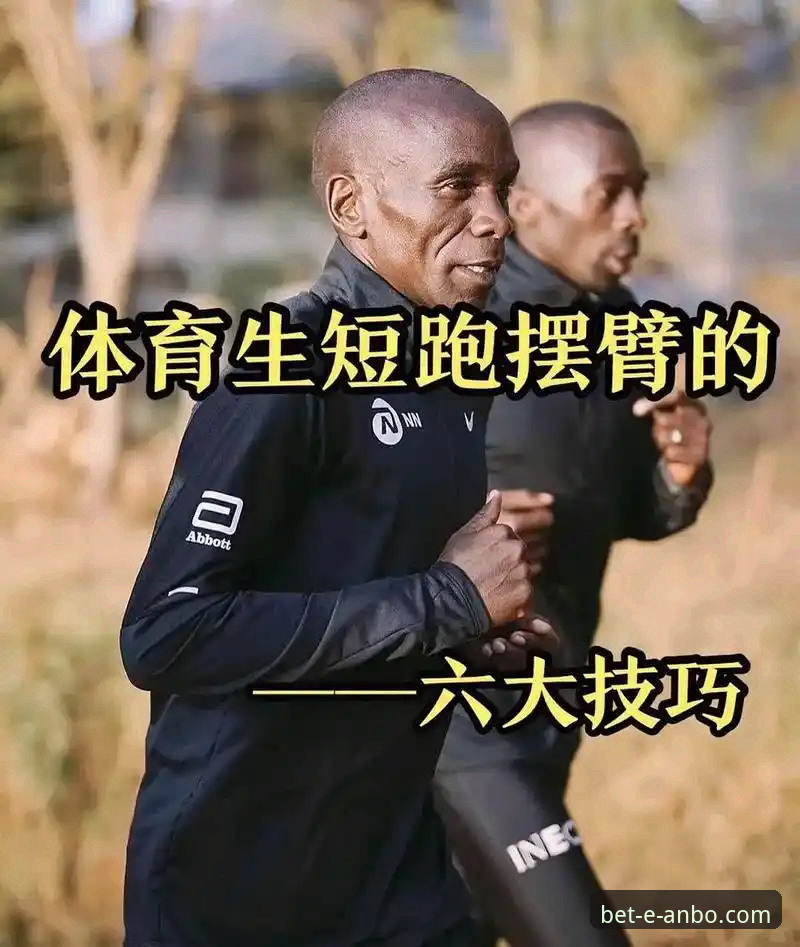 安博体育平台完整使用指南：官网入口、登录技巧与最新版下载全解析